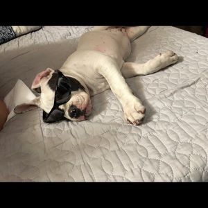 Meet your Posher, Cynthia